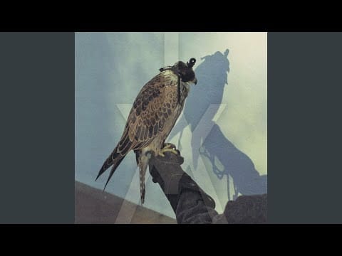 Iceage — Interlude