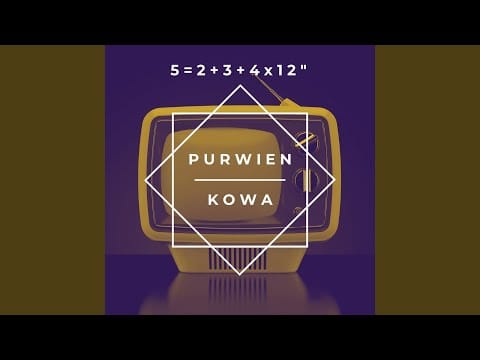 Purwien & Kowa — Disko 80 (12" Mix)