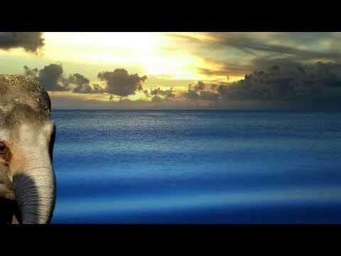 Il Guardiano Del Faro — il bambino e l'elefante