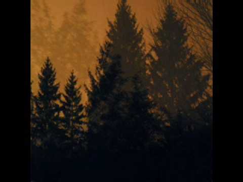 If These Trees Could Talk — If These Trees Could Talk - The Flames Of Herostratus