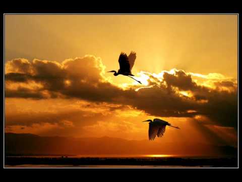 DJ Fire — DJ Fire - Let The Joy Rise