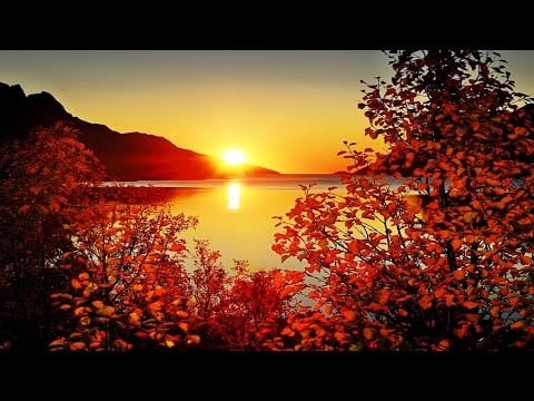 Ronny (4) — Ronny - Lass die Sonne wieder scheinen