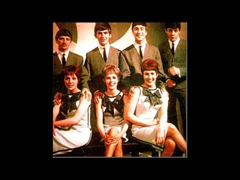 The Vernons Girls — WE LOVE THE BEATLES THE VERNON GIRLS DES