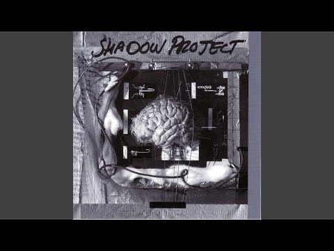 Shadow Project — Still Born/ Still Life