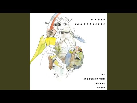 David Vandervelde — Can't See Your Face No More