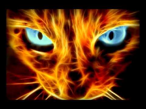 The Untamed — The Untamed - Innocent child (Tukan vs. Michael Splint remix)