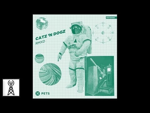 Catz N' Dogz — Catz 'n Dogz - Don't (Roman Flügel Remix)