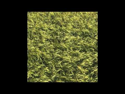 Skee Mask — Skee Mask - Breathing Method