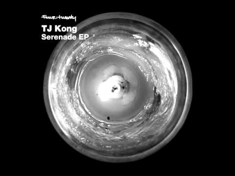 TJ Kong — TJ Kong & Modular K - Venusberg (2009)