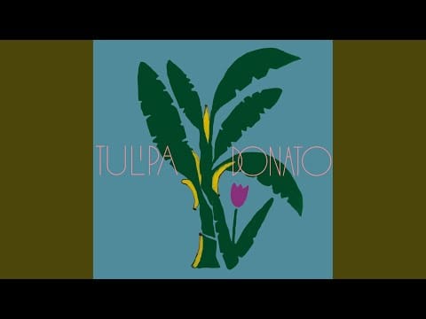 João Donato — Manjericão