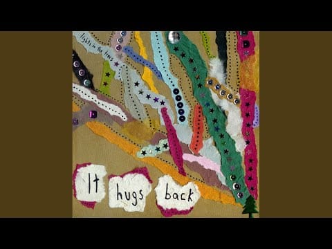 It Hugs Back — Lights in the Trees