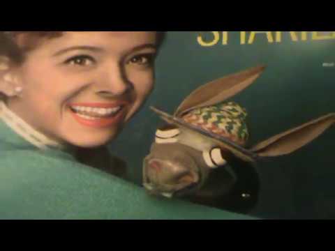 Shari Lewis — WHAT WOULD YOU LIKE FOR DINNER TONIGHT