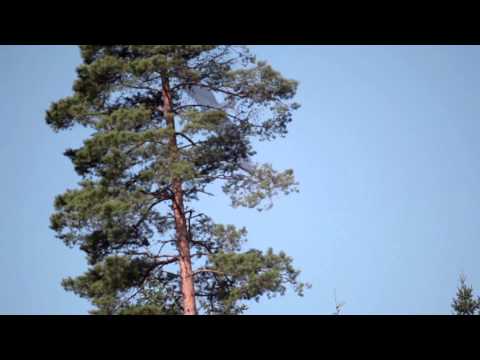 Daniel Norgren — Daniel Norgren - Like There Was A Door