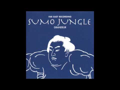 Soichi Terada — [1996] 寺田創一 (Soichi Terada) - Sumo Jungle GRANDEUR - Full Album (HQ)
