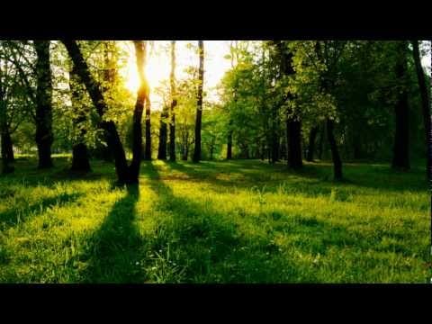 Audrey Gallagher — Ashley Wallbridge feat. Audrey Gallagher - Bang The Drum (Omnia Remix)
