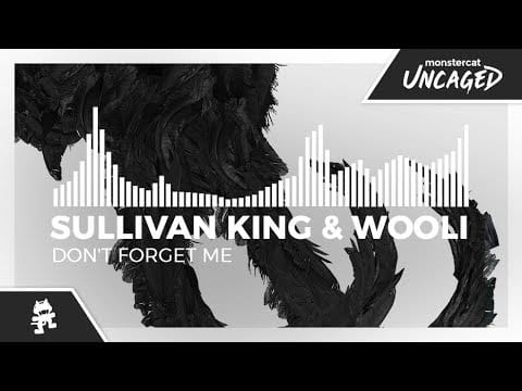 Sullivan King — Sullivan King & Wooli - Don't Forget Me [Monstercat Release]