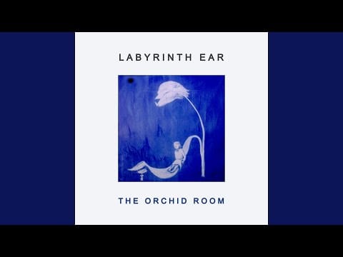 Labyrinth Ear — Grey Dove