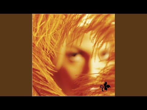 Stone Temple Pilots — Wonderful