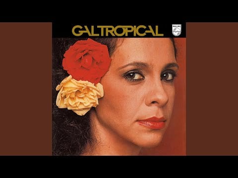 Gal Costa — Dez Anos