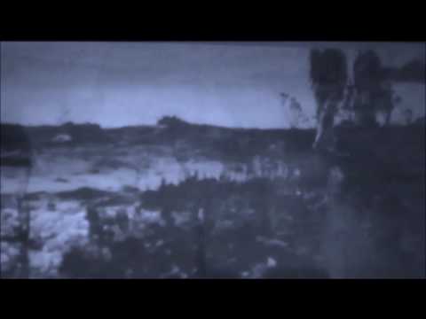 Peter Sellers — ALL THE THINGS YOU ARE - PETER SELLERS