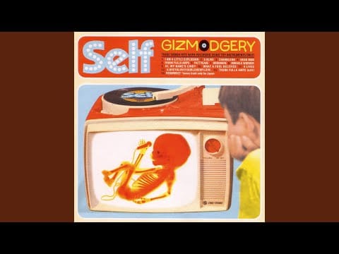 Self — Ordinaire