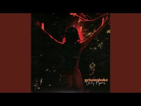 Prisonshake — The Understudy