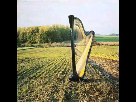 Wim Mertens — Wim Mertens - When The Line Grows Thick
