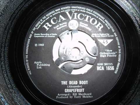 Grapefruit — grapefruit -  the dead boot