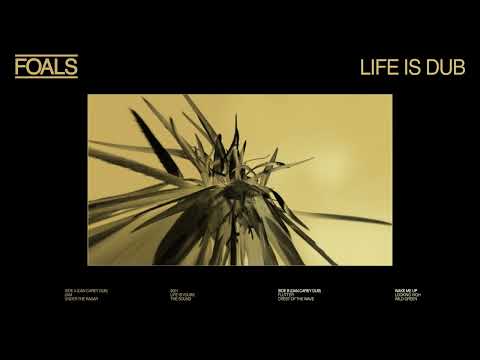 Foals — Wake Me Up (Dan Carey Dub) – Official Audio