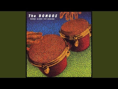 The Bongos — Zebra Club