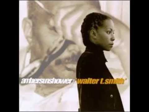 Ambersunshower — Ambersunshower - Walter T.