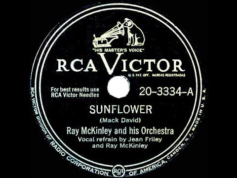 Ray McKinley And His Orchestra — 1948 Ray McKinley - Sunflower (Ray McKinley & Jean Friley, vocal)