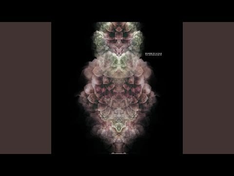 Eduardo De La Calle — Broken Bonus