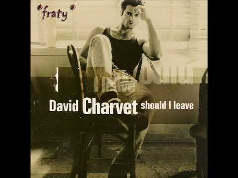 David Charvet — David Charvet - Should I Leave