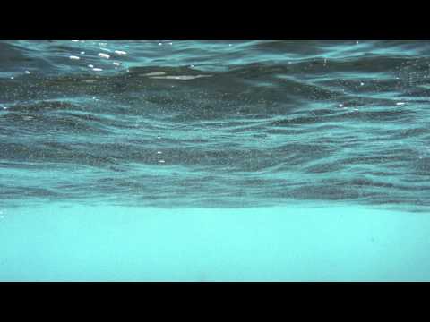 Eric Lau — Eric Lau - Water