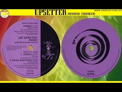 Dub Syndicate — JUNGLE ⇒BIG HOT PLATE⇐ ⬥Lee Perry⬥