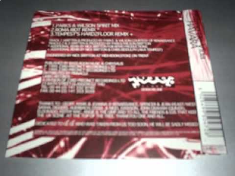 Ritmo De Vida — Ritmo De Vida -- Havara (Parks & Wilson Spirit Mix)