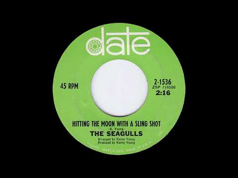 The Seagulls (3) — The Seagulls - Hitting The Moon With A Sling Shot 1966