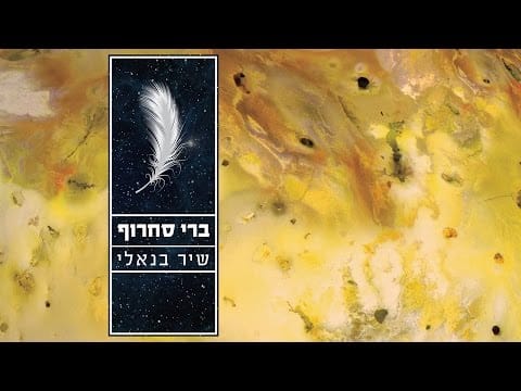Berry Sakharof — ברי סחרוף - שיר בנאלי