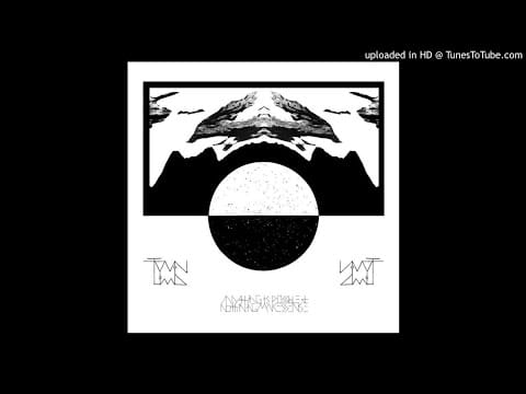 Twin Limb — Twin Limb - Yoo Doo Right