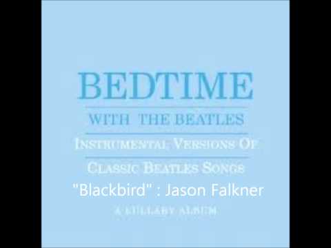 Jason Falkner — Jason Falkner  Blackbird