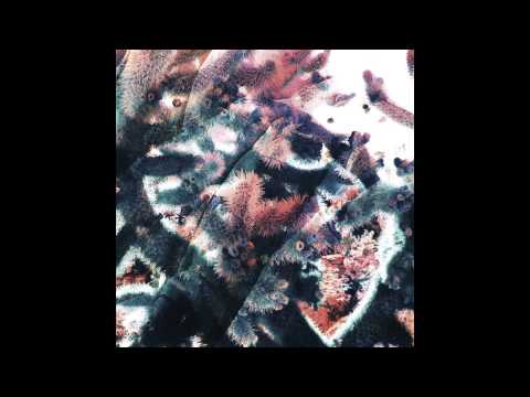 Ricardo Tobar — Ricardo Tobar - Garden (Daniel Avery Remix)