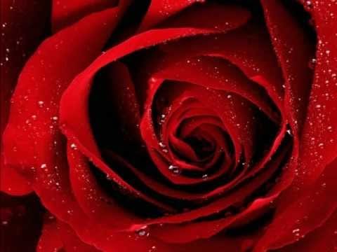 Alux Nahual — Mujer - Alux Nahual
