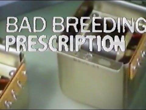 BAD BREEDING — PRESCRIPTION