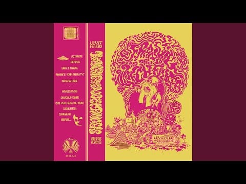 Frankie And The Witch Fingers — Activate (Live)
