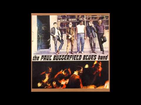 The Paul Butterfield Blues Band — The Paul Butterfield Blues Band - Screamin'