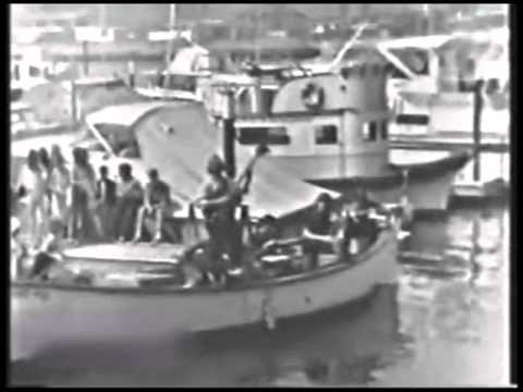 The Shadows Of Knight — Shadows Of Knight - Gloria (1966)