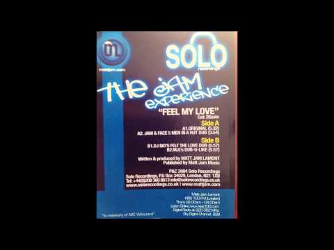 The Jam Experience — The Jam Experience Feel My Love DJ $ki's felt the love dub