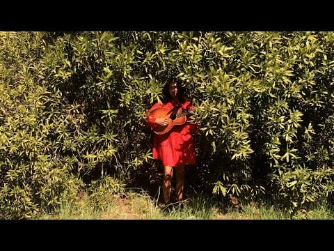 La Luz (2) — La Luz - Here on Earth