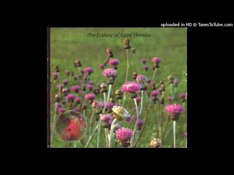 The Ecstasy Of Saint Theresa — The Ecstasy Of Saint Theresa - Interstellar Overdose